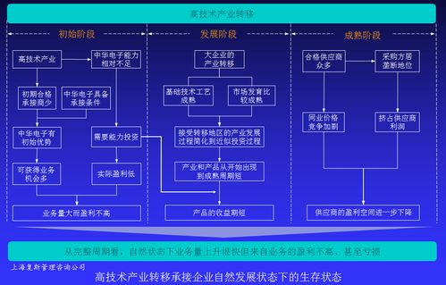 高技術產品企業盈利能力提升案例Ⅳ 以戰略咨詢為基點，驅動技術賦能與價值變現